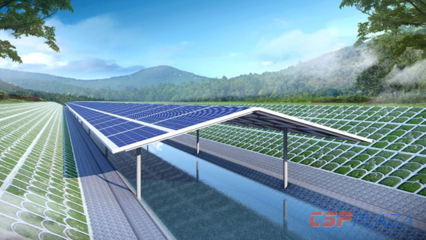 河面架设太阳能“屋顶”减少碳排放!南科大发表能源领域重要研究成果