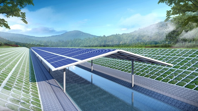 给河面架设太阳能"屋顶"减少碳排放!南科大学者发表能源领域重要研究